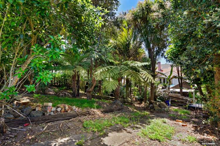 73 Walmer Road Point Chevalier_6