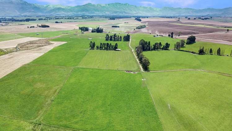 311 Hamilton Road Fairlie_6