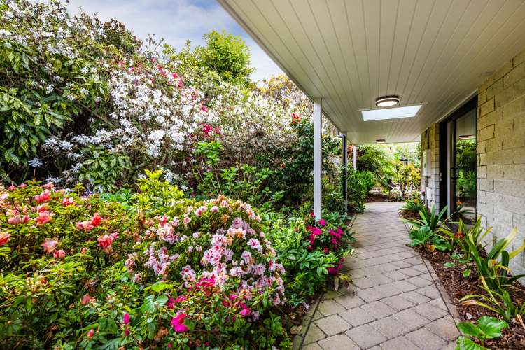 60 Te Moenga Park Acacia Bay_29