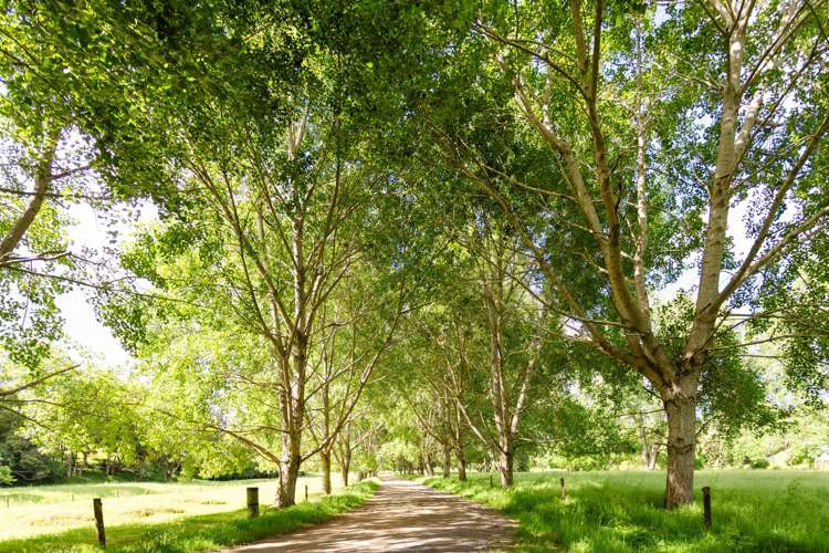 48 Doel Road Kawakawa_37