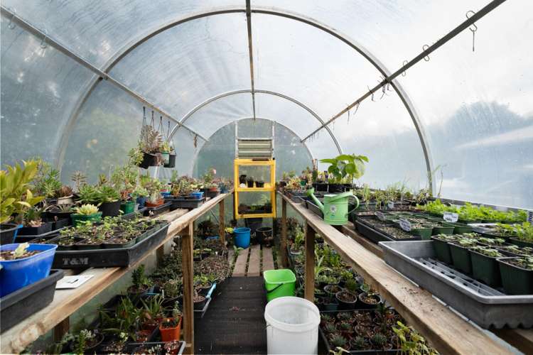 117 Bulltown Road Waihi_22