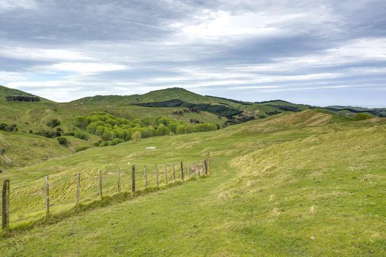 139 Clareinch Road Omakere_25