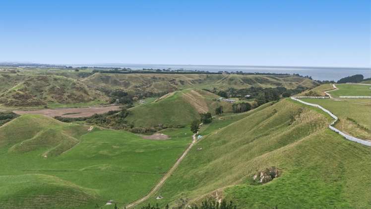 147A Pikowai Road Pikowai_21