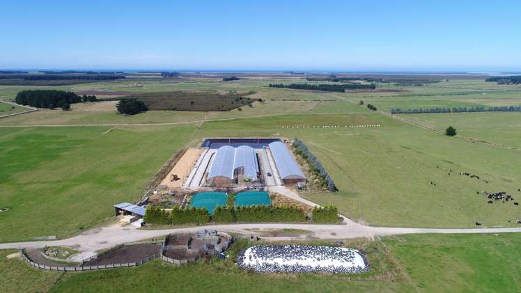 235 Waituna Lagoon Road Wyndham Surrounds_14