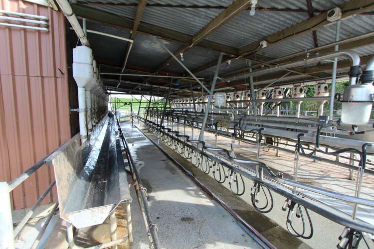 553 Buckland Road Matamata_16