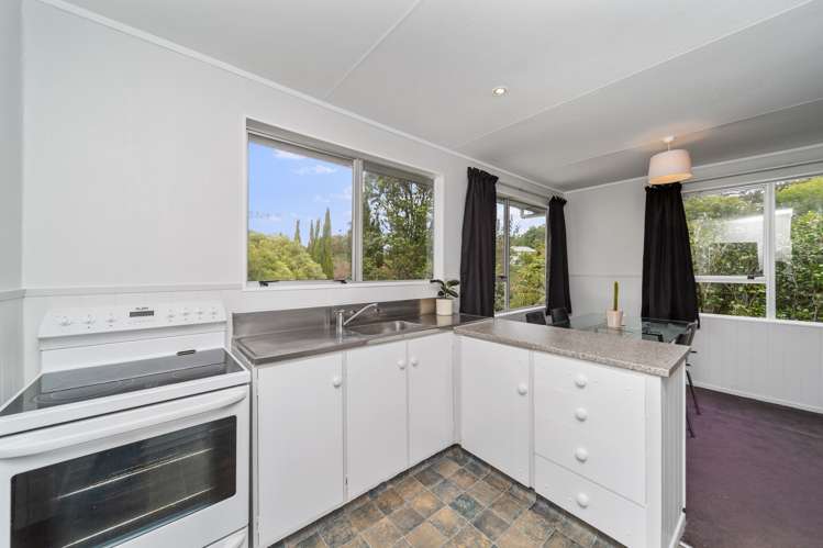 80f Mill Road Lower Vogeltown_6