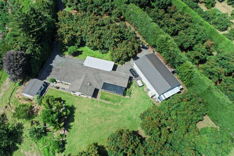 4 Esdaile Road Whakamarama Western Bay Of Plenty Rural Property