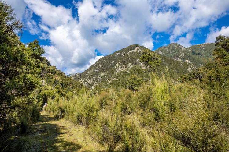 1180 Tyntesfield Road Waihopai Valley_28