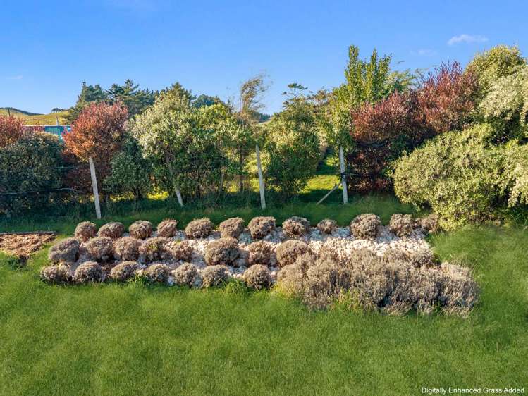 660 Cathedral Road Domett_20