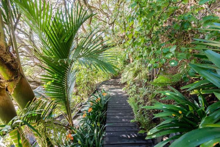 33 Eveline Street Mangawhai Heads_19