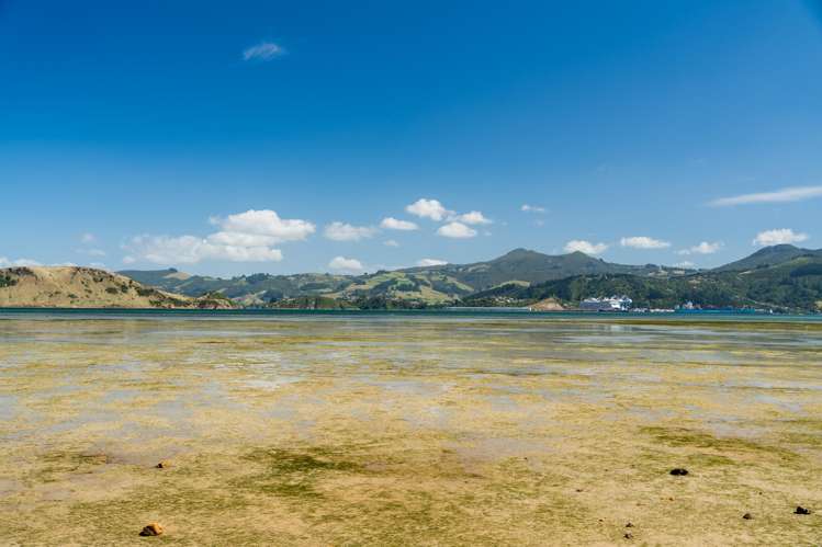 60 Tidewater Drive Harwood_48