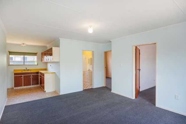 2/293 Ruahine Street Terrace End_4