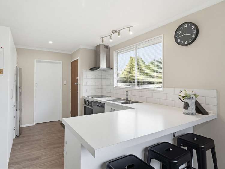 6 Escort Grove palmerston north Awapuni_8