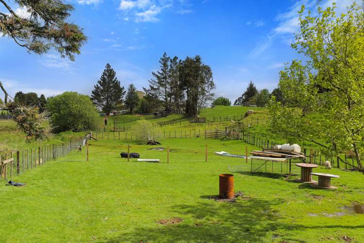 45 Tawhero Street Mamaku_15