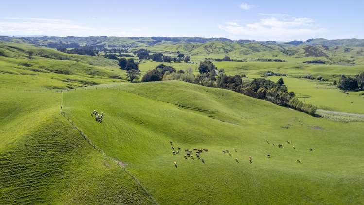 2472 Opaki Kaiparoro Road Eketahuna_12