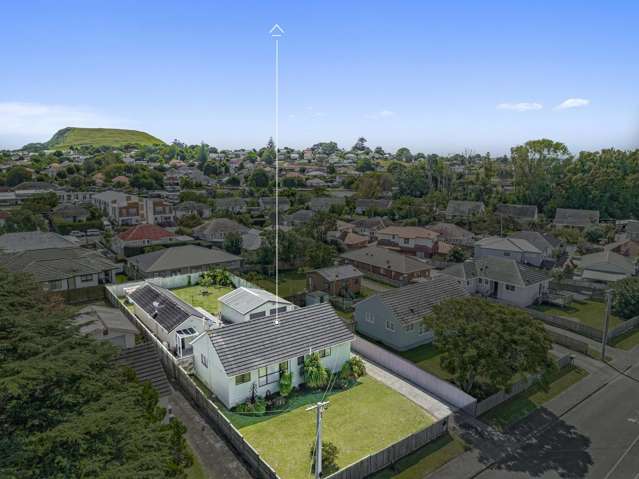 Two Homes - One Massive Opportunity!