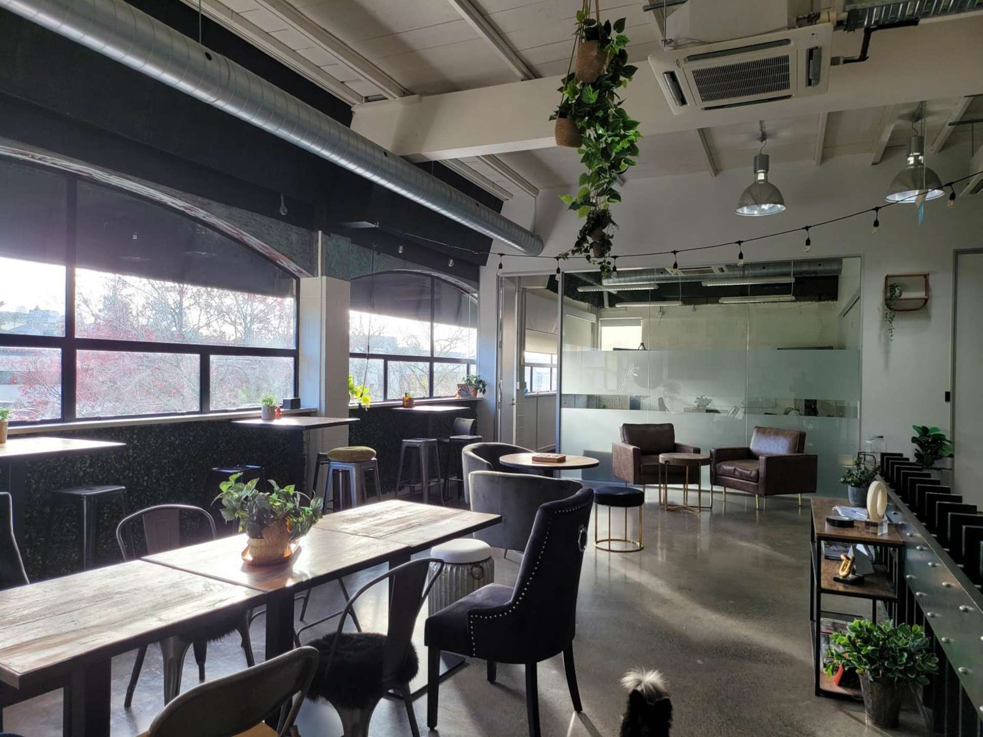 69 St Georges Bay Road Parnell_0