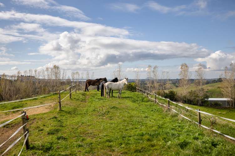 487 Wright Road Aongatete_20