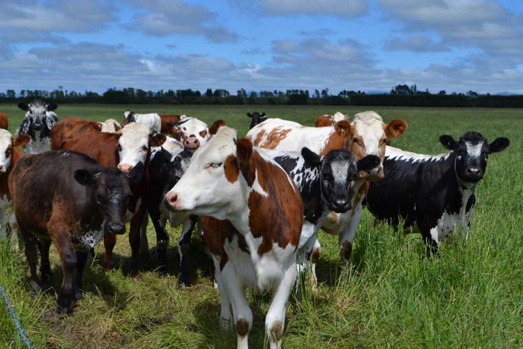 3933 South Eyre Road Oxford_13