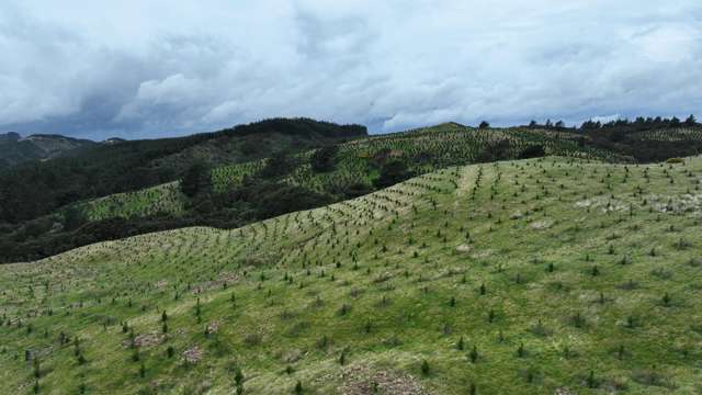 2164 Te Mai Road Tinui Valley_2