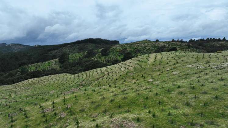 2164 Te Mai Road Tinui Valley_2