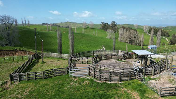 953 State Highway 3 Piopio_8