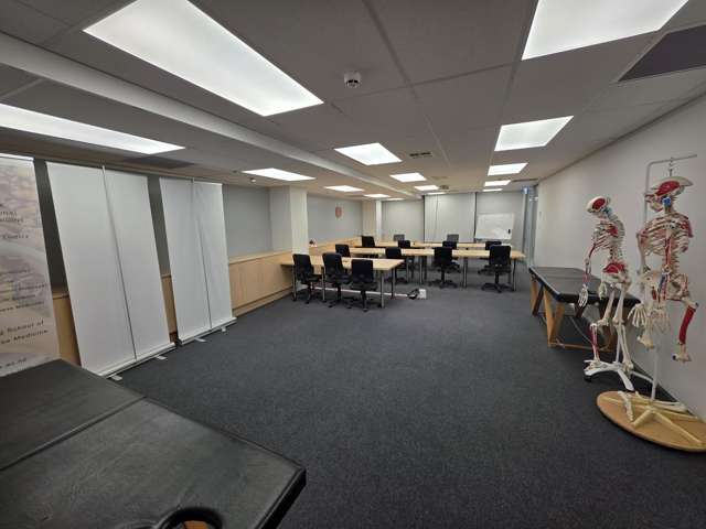 32 Manukau Road Epsom_3