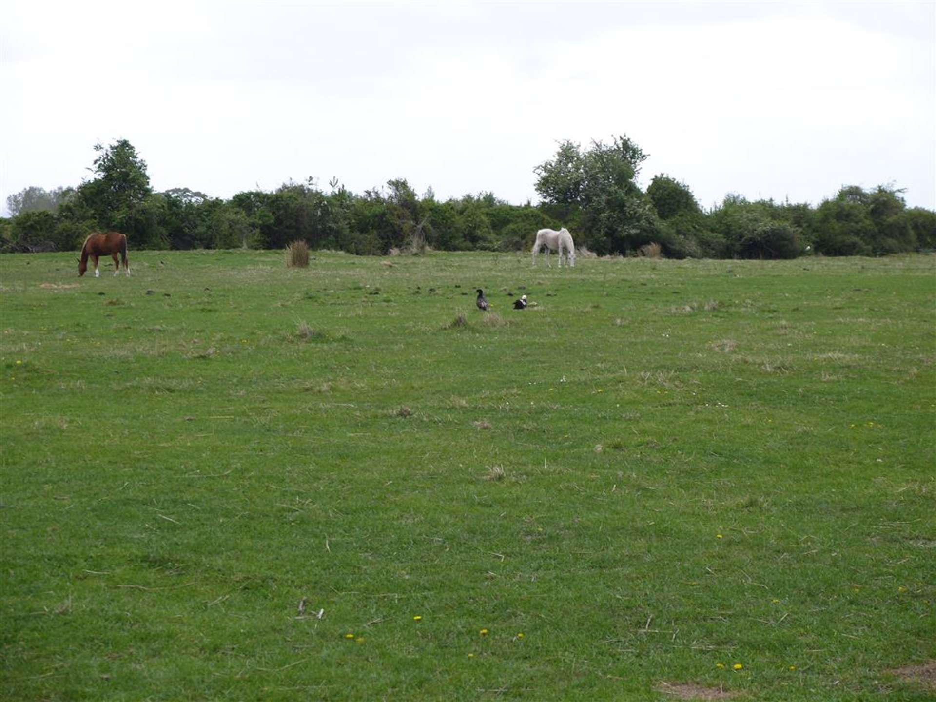 38c Titoki Drive Kaikoura_0