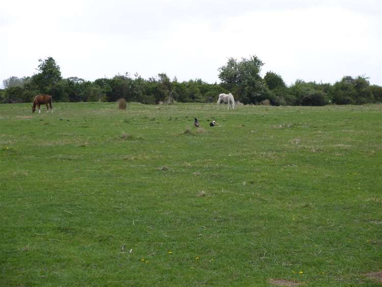 38c Titoki Drive Kaikoura_0