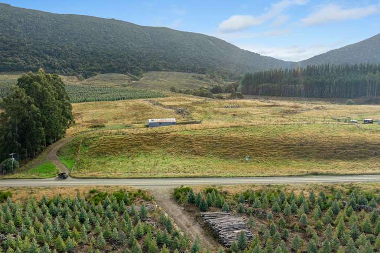 Tahakopa Valley Road Catlins Surrounds_14