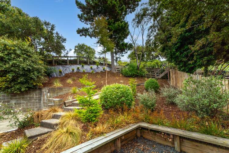 39 Jenner Road Toi Toi_24