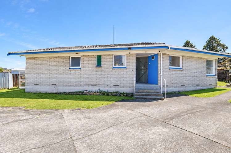 22 Roger Street Pukehangi_20