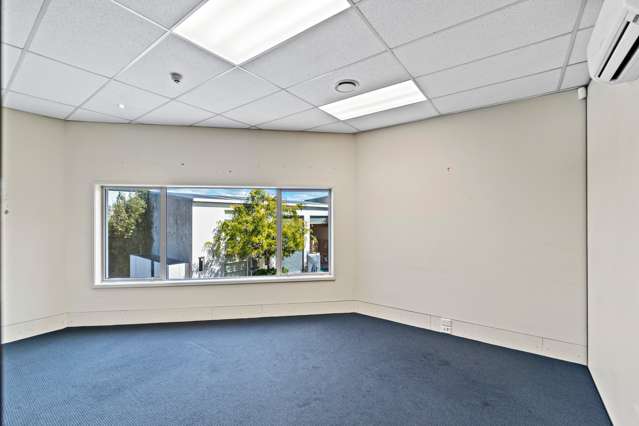 11 and 11A Picton Avenue Addington_4