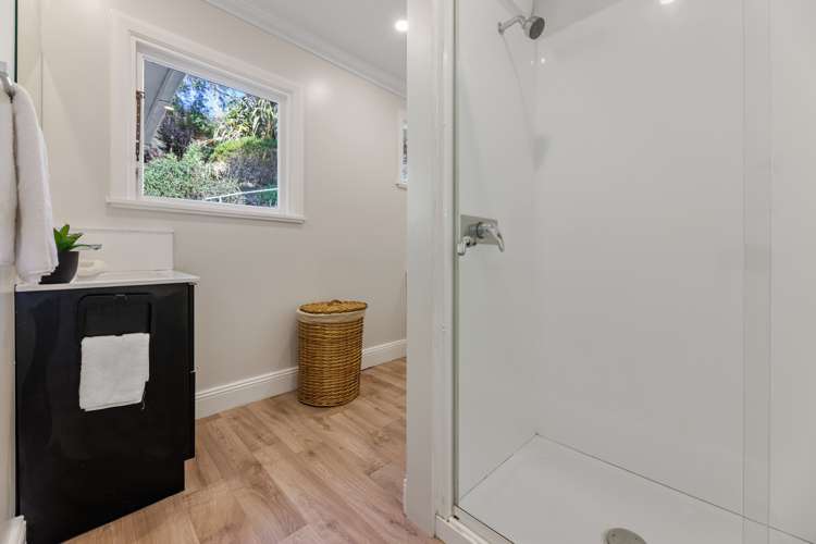 51 Buccleugh Street North East Valley_12