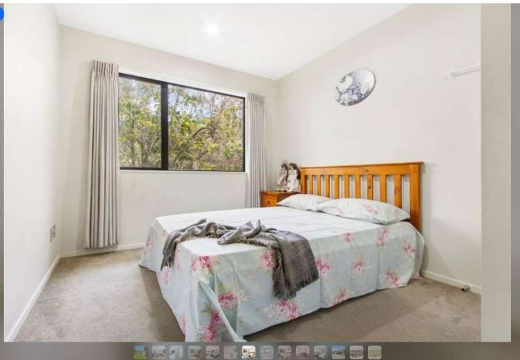 14a Meliora Place Avondale_6