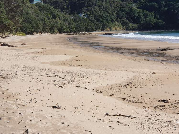 21 Kayes Crescent - Little Bay Coromandel Waikawau_16