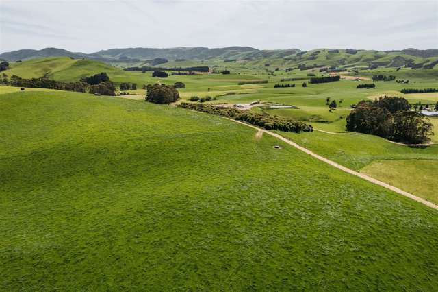 101 Logan Road Owaka Valley_1