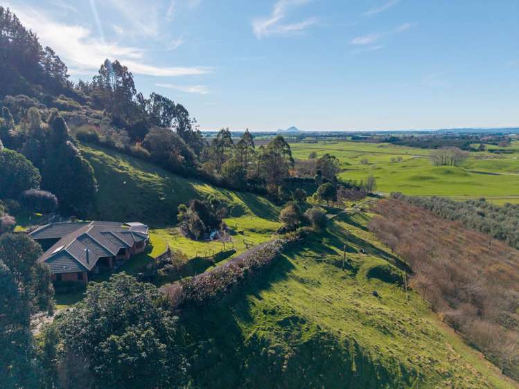 836b Braemar Road Rotoma_42