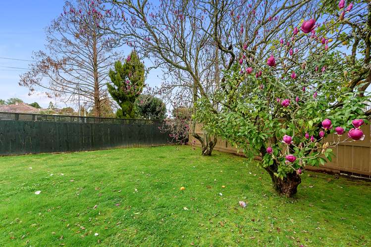 83 Ellicott Road Nawton_12