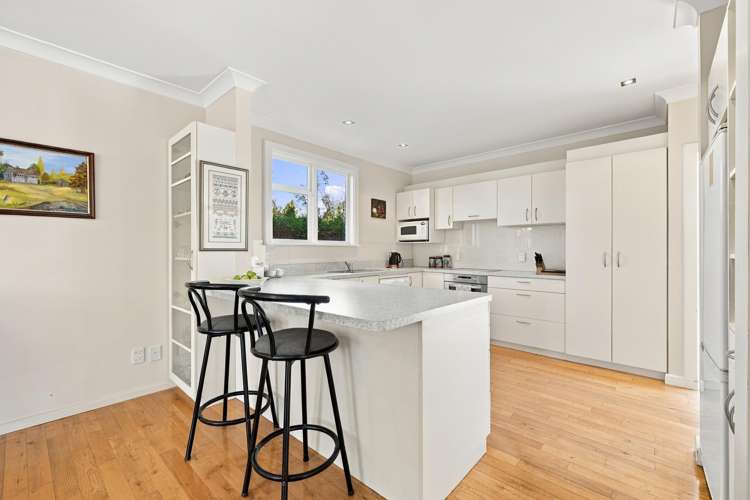 17 Hamilton Avenue Ilam_6