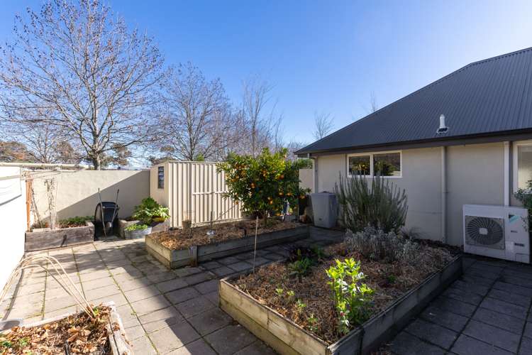 113 Dry Hills Lane Riverlands_20