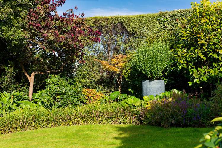 84b Churchill Street Kaikoura_47