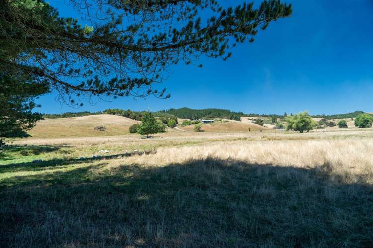 Tadmor-Bushend Road Tapawera_6