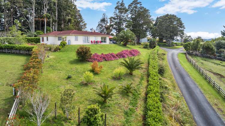 314 Vinegar Hill Road Kauri_21