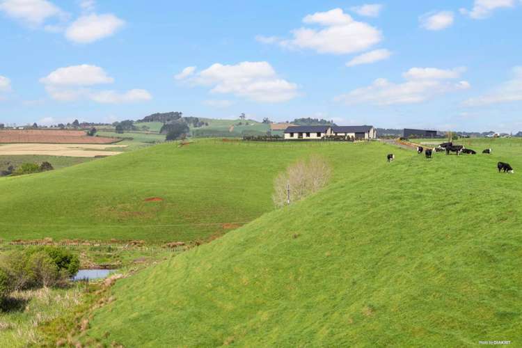 413 Klondyke Road Onewhero_24