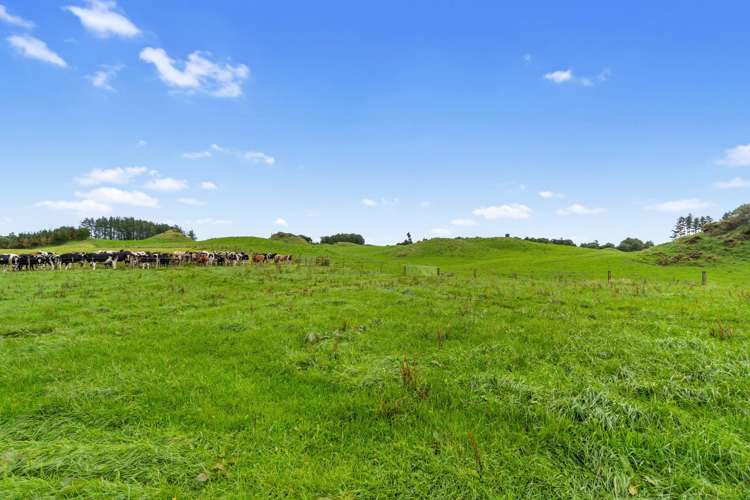 1161 State Highway 5 Hamurana_25