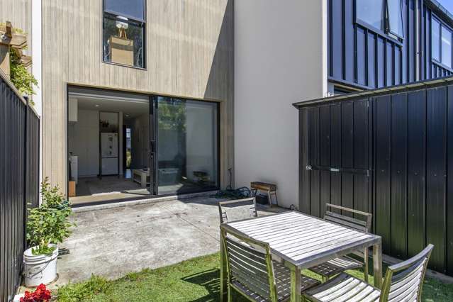 47 Te Ara O Paetutu Petone_2