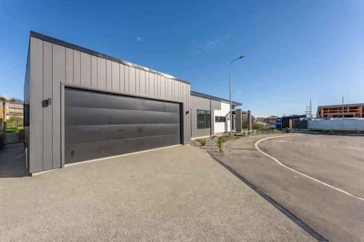 9 Mahara Place Maori Hill_44