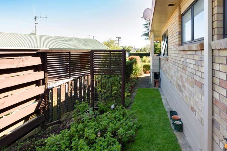 2a Camellia Place Greerton_9