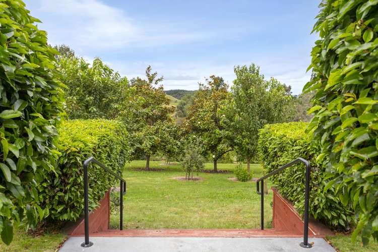 438 Clearwater Lane Rangatira Park_9